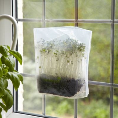 Mustard Sproutapouch image(2)