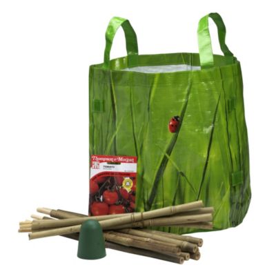 Complete Tomato Growing Kit image(2)