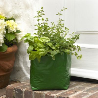 Herb-Growing Pack image(1)