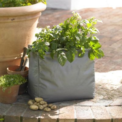 Root Veg Zigg Zagg® Planter image(1)