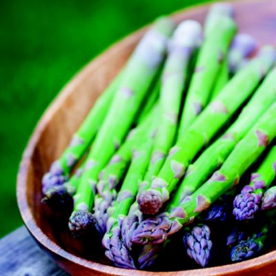 Thompson & Morgan Asparagus Pacific Challenger image(2)