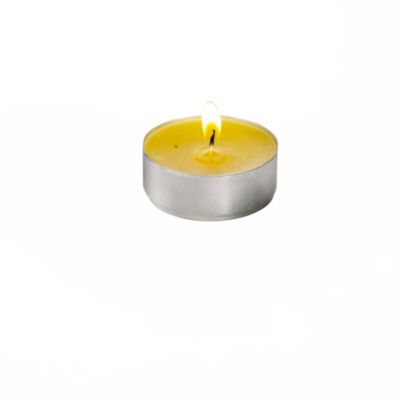 Citronella 4 Maxi Lights image(1)