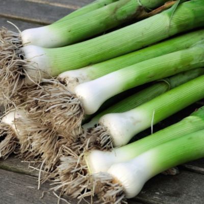 Suttons® Leek Autumn Duo Pack image(1)