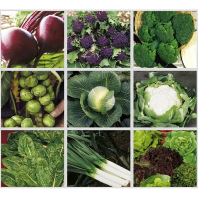 Suttons® Vegetable Complete Collection image(1)