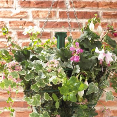 PlantWell Double Pack image(1)