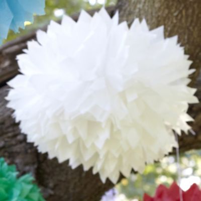 Paper Party Pompoms Ivory image()