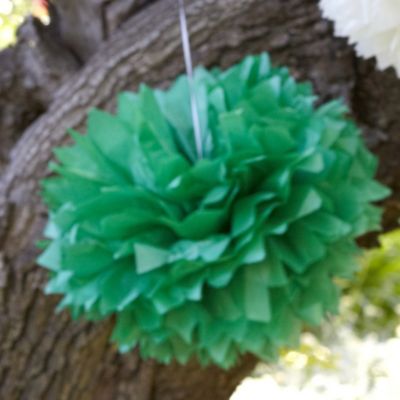 Paper Party Pompoms Green image()