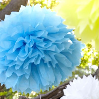 Paper Party Pompoms Blue image()