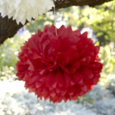 Paper Party Pompoms Red image()
