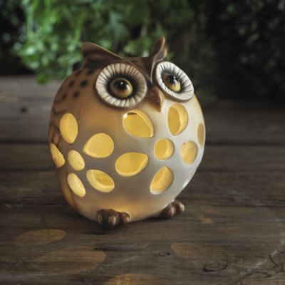 Olly Solar Owl image()