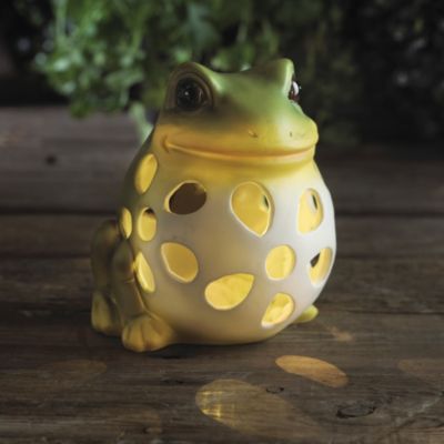 Smiley Solar Frog image()