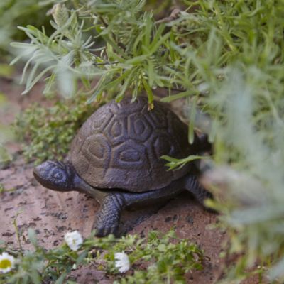 Tortoise Key Hider image(2)