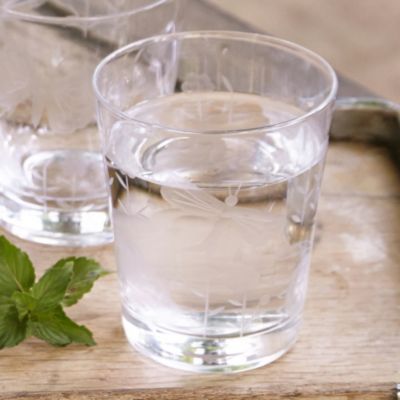 Dragonfly Glass Tumbler image(1)