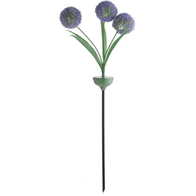Solar Purple Alium image(1)