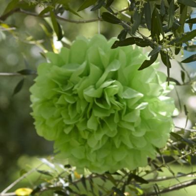 Paper Party Pompoms Green image()