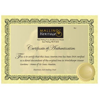 Thompson and Morgan Apple Isaac Newton image(3)