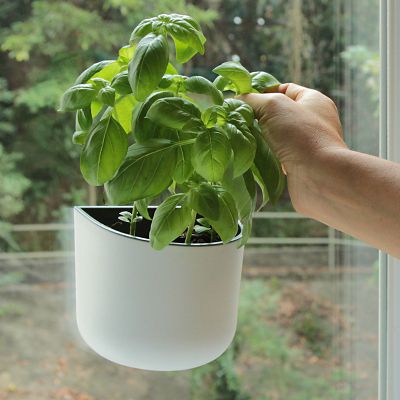 Okidome Eden Suction Planter image(2)