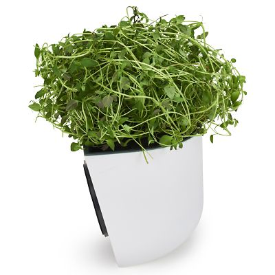 Okidome Eden Suction Planter image(5)