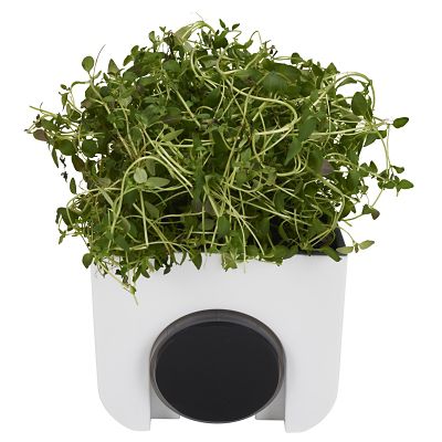 Okidome Eden Suction Planter image(6)