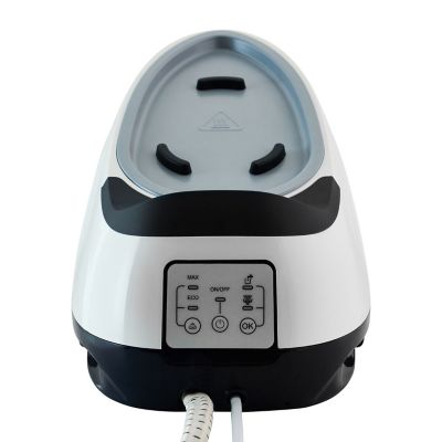 Lakeland Steam Generator Iron image(4)