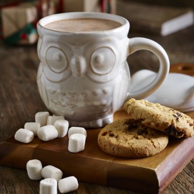 Owl Hot Chocolate Mug image(2)