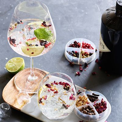 Gin and Tonic Cocktail Botanicals image(2)