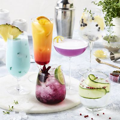 Gin and Tonic Cocktail Botanicals image(3)