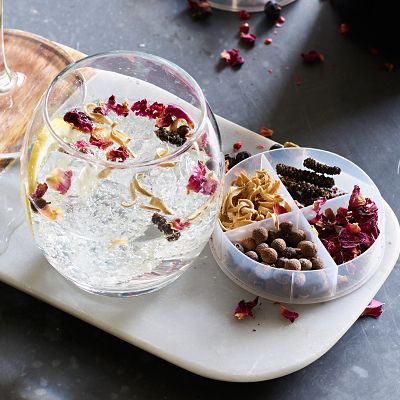 Carmencita Vodka Cocktail Botanicals image(2)