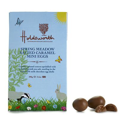 Holdsworth Spring Meadow Salted Caramel Mini Eggs image(1)