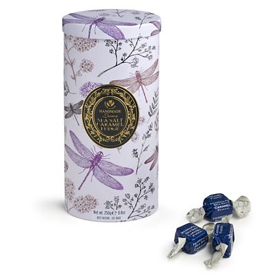 Gardiners of Scotland Dragonfly Sea Salt Caramel Fudge Tin 250g image(1)