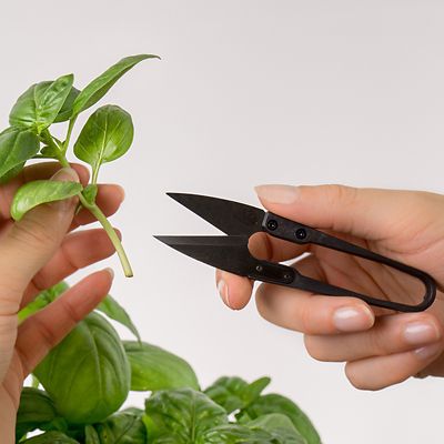 Veritable Smart Garden Herb Gift Set – 4 Varieties Plus Snips image(2)