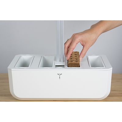 Veritable Smart Garden Lingot Cayenne Hot Chilli - (Image 4)