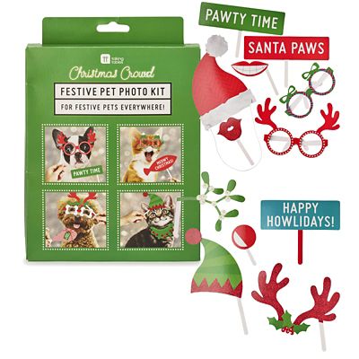 Festive Pet Photo Kit image(1)