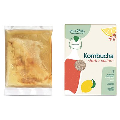 Mad Millie Organic Kombucha SCOBY Starter Culture image(1)