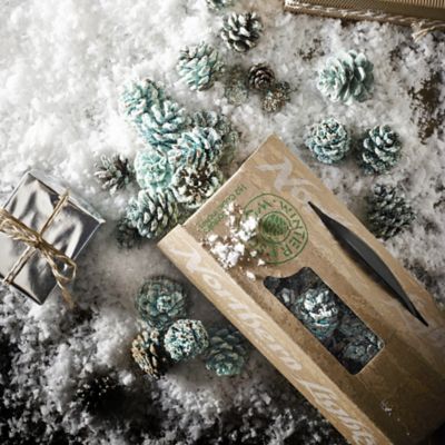 Northern Lights Colour Fire Cones - Pack of 2  - (Image 3)