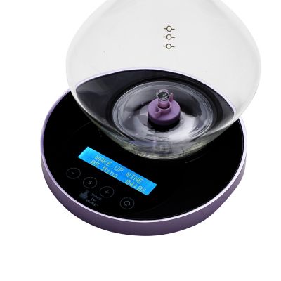 Wake Up Wine Electric Decanter image(3)