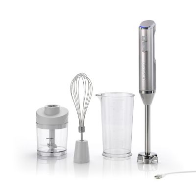 Bamix ToGo Blender