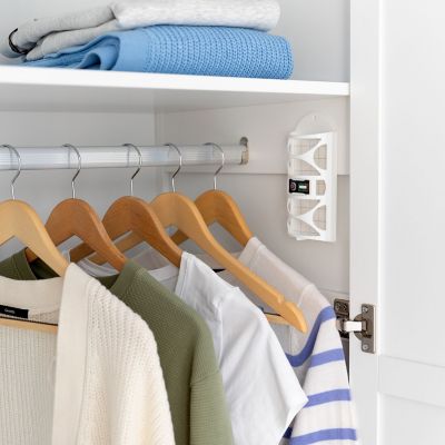 Moth Stop Clothes and Carpet Moth Detector and Trap image(2)