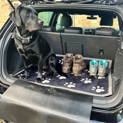 Howler & Scratch Car Mat And Boot Protector image(2)