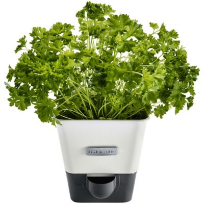 Cole & Mason SelfWatering Herb Keeper Lakeland