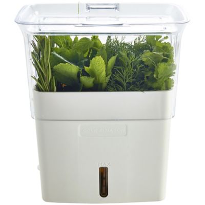 Cole & Mason Fresh Cut Herb Keeper Lakeland