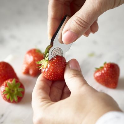 Lakeland Strawberry Huller image(2)