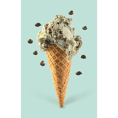 Lakeland Mint Choc Chip Ice Cream Mix 200g image(2)
