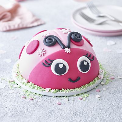 Large Hemisphere Cake Pan - (Image 4)