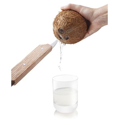 Tomorrow’s Kitchen Coconut Opener image(4)