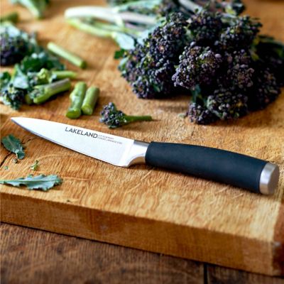 Lakeland Select-Grip Japanese Steel Paring Knife 9cm Blade image(2)