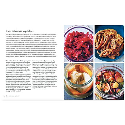 Fermented Foods Book - (Image 2)
