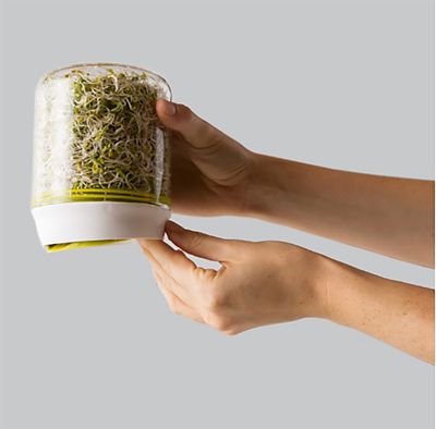 Chef’n Bean Sprouter Vented Germinator Jar image(2)