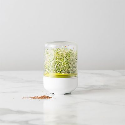 Chef’n Bean Sprouter Vented Germinator Jar image(8)