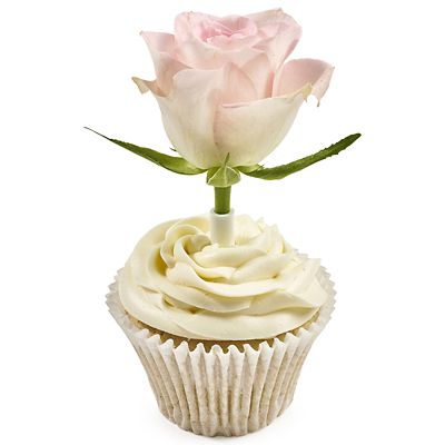 Pme Flower Pics Bud Vases For Cakes Medium X12 Lakeland